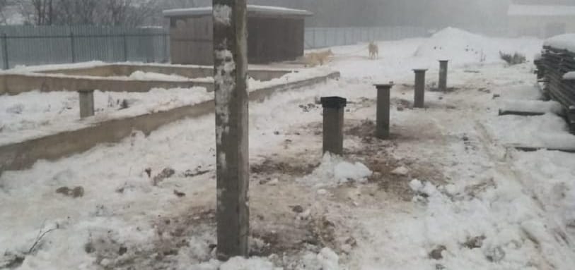 Фундамент на забивных ЖБ сваях